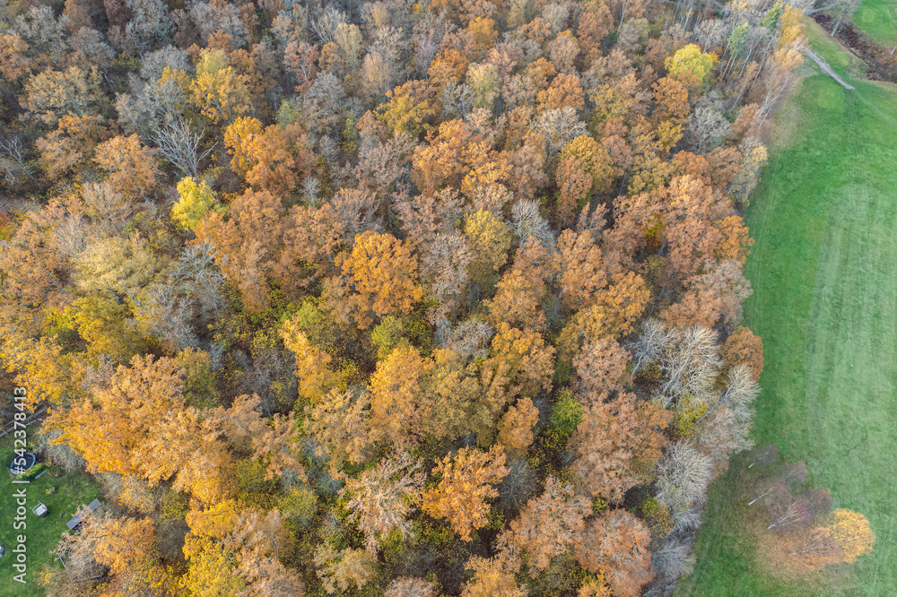 Aerial view on multicolored trees in autumn, and green grass, forest, wild nature, river, contrasts. Beautiful autumn in the village. Golf course. Aerial view on multicolored trees in autumn, and green grass, forest, wild nature, river, contrasts. Beautiful autumn in the village. Golf course.