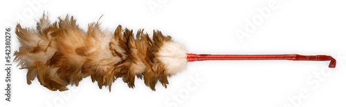 Quadro su tela Feather Duster