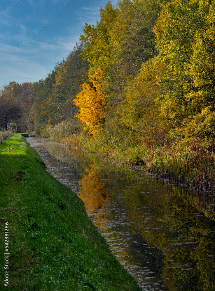 canal, colors, leaves, fall, netherlands, rheebruggen, uffelte, 