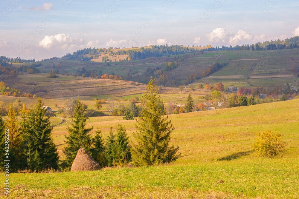 mountainous countryside landscape in autumn. rural fields and pastures among forested hills in dappled light. warm autumn weather. concept of sustainable living in carpathian region