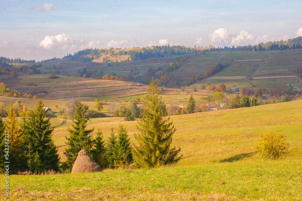 Obraz premium mountainous countryside landscape in autumn. rural fields and pastures among forested hills in dappled light. warm autumn weather. concept of sustainable living in carpathian region