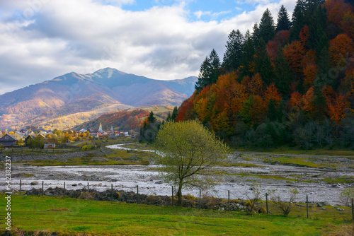 joint of tereblya and bradolets river. mountainous countryside scenery in autumn photo