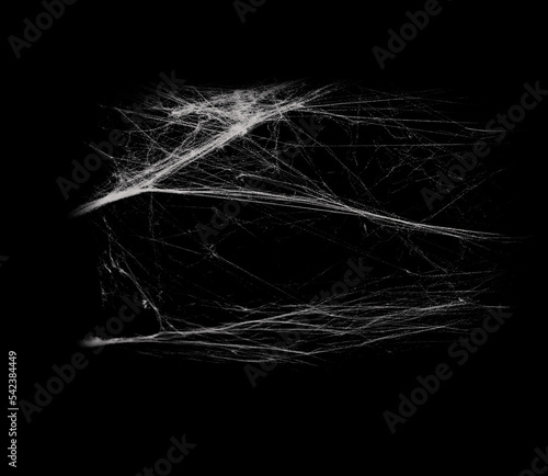 White spiderweb on on black grunge background, cobweb scary frames. Royalty high-quality free stock photo image of Real creepy spider webs silhouette isolated on Spooky Halloween backgrounds