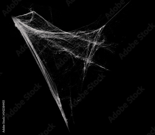 Fotografia White spiderweb on on black grunge background, cobweb scary frames