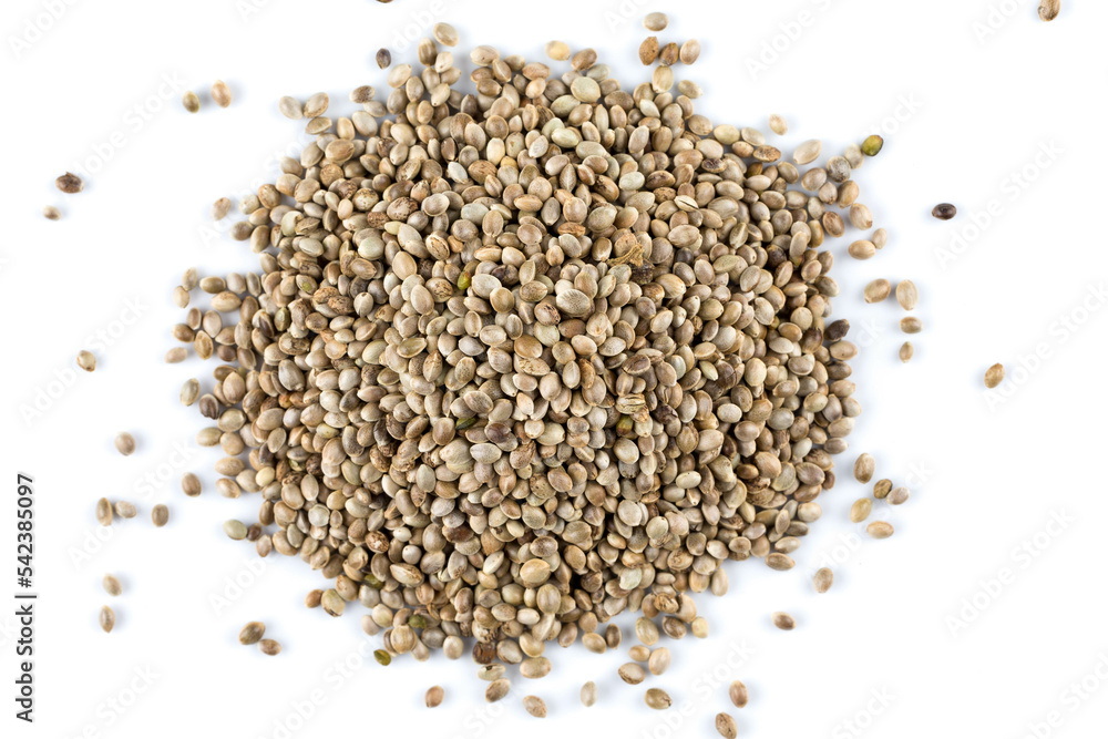 Cannabis hemp seeds pile close up macro shot isolated Cannabis hemp seeds pile close up macro shot isolated