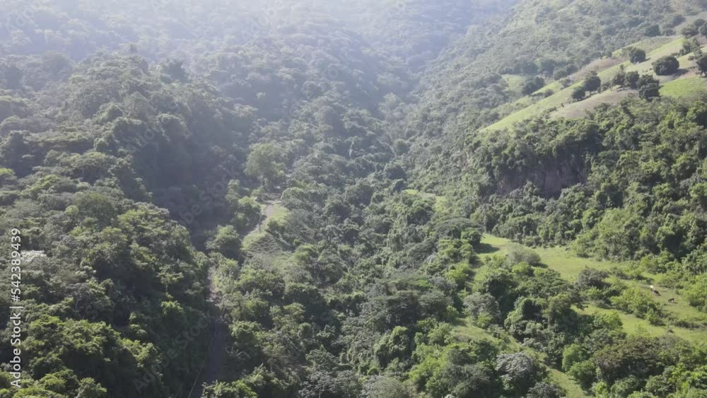 Aerial view of an inhospitable area with abundant vegetation on a mountain Aerial view of an inhospitable area with abundant vegetation on a mountain