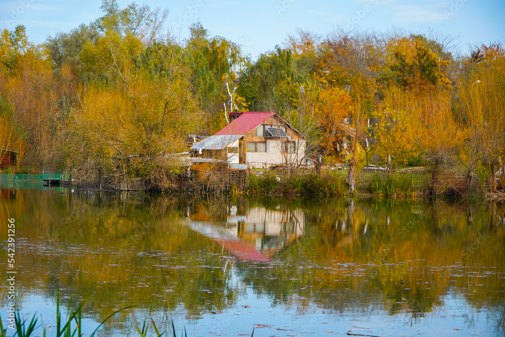 autumn landscape. beautiful color of nature. photo during the day. autumn landscape. beautiful color of nature. photo during the day.