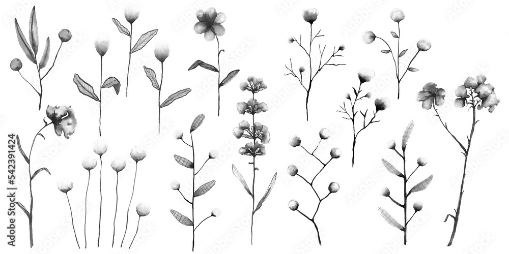 A set of dry flowers monochrome ink painted perfect for textile and tattoo