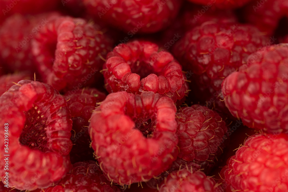 the fresh red raspberry fruit - background or texture the fresh red raspberry fruit - background or texture