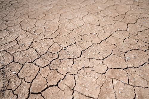 Brown dry ground with cracks