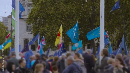 Brexit protest and pro EU flags being waved in a national re-join march protest London UK