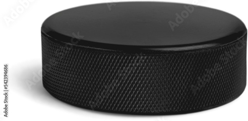 Hockey Puck