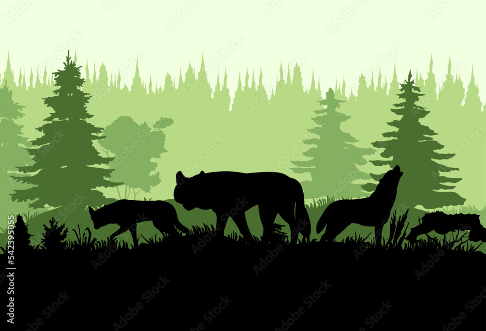Pack of wolves at edge of coniferous forest in taiga. Silhouette picture. Wild animal in nature. Predator in natural conditions. Vector. Pack of wolves at edge of coniferous forest in taiga. Silhouette picture. Wild animal in nature. Predator in natural conditions. Vector.