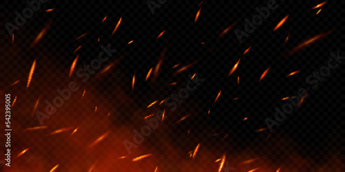 Realistic fire sparks on transparent background. Vector illustration of burning particles and smoke