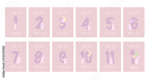 Cute Bunny Girl Baby Milestone Cards PNG, Numbers clipart. 1-11 months and 1 year. Baby shower print capturing all the special moments. Baby month anniversary card. Nursery print.