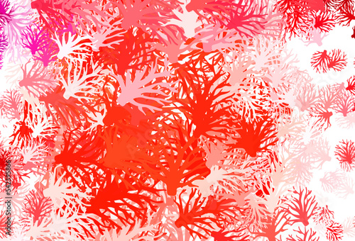 Light Red vector elegant background with branches.