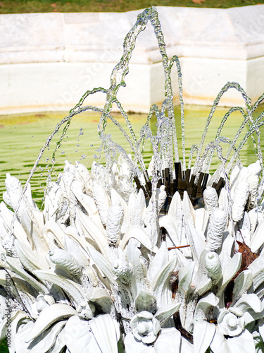 Flower fountain