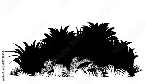 High grass. Jungle rainforest. Nature landscape silhouette. Dense tropical thickets. Isolated on white background. Vector.
