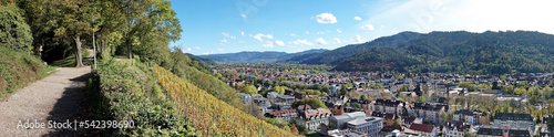 Freiburg im Breisgau Panorama - Stadt im Tal Landschaft im Herbst mit Weinberge