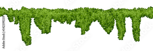 Horizontal endless swamp moss pattern on white background. Top of fence or wall with climbing plants. Bush line. Forest lichen. Vector illustration