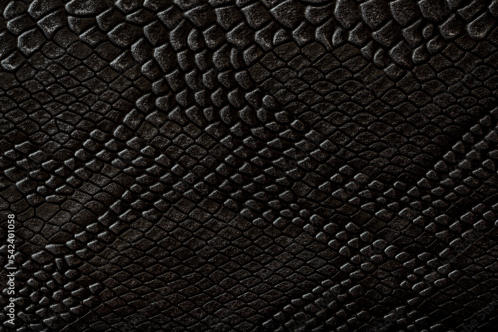 Beautiful dark gray python skin, reptile skin texture, snake skin close ...