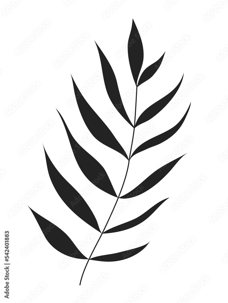 Black palm leaves isoted on white background. Black silhouette vector illustration. Black palm leaves isoted on white background. Black silhouette vector illustration.