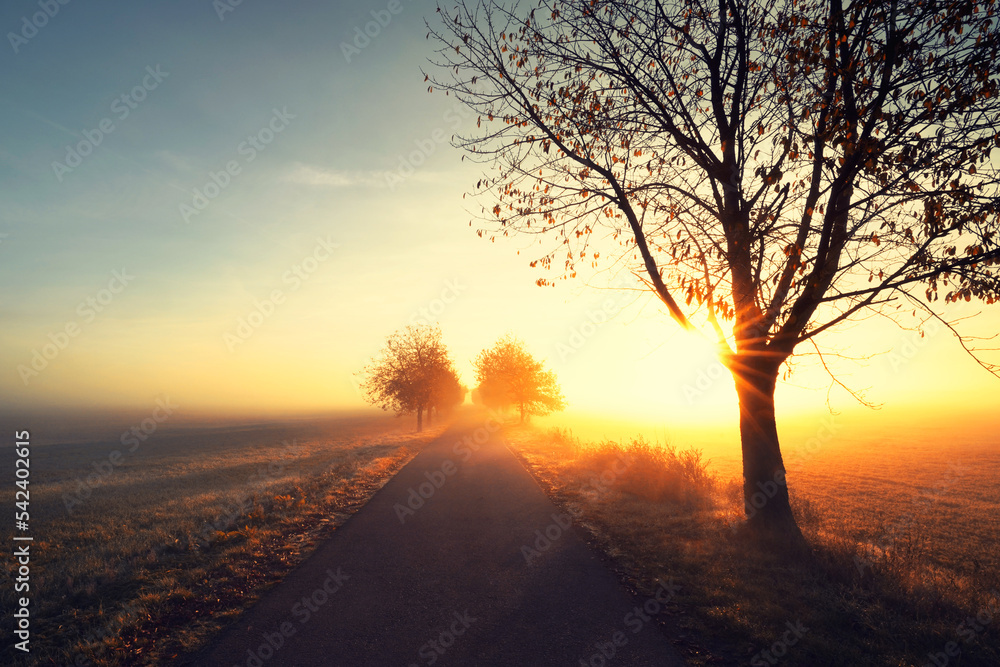 Sonnenstrahlen im Herbst Sonnenstrahlen im Herbst
