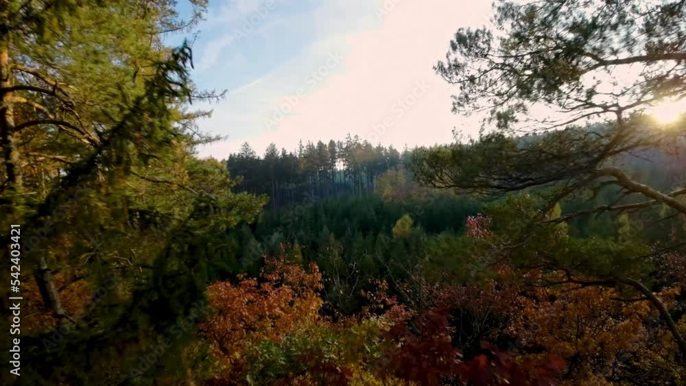 Drone shot of trees with dominant yellow leaves in autumn. nature stock. fpv. Drone shot of trees with dominant yellow leaves in autumn. nature stock. fpv.