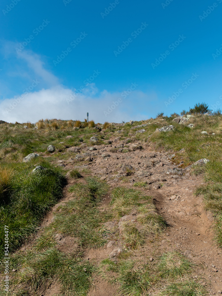 Unpaved hiking path in Port Hills, Christchurch, New Zealand.