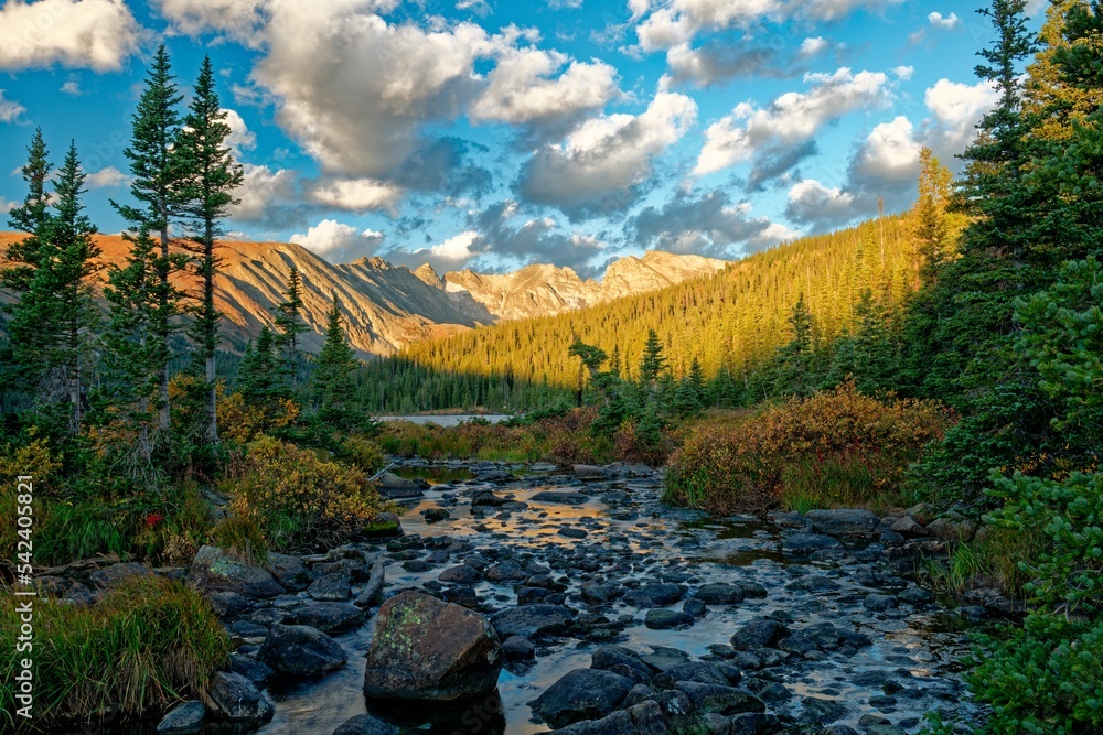 Fototapeta premium View of a rocky stream in nature in Colorado, USA