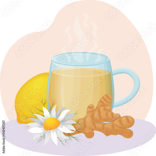 Tea with lemon and ginger. A hot cup of tea with chamomile. Medicinal decoction in a glass. Vector illustration