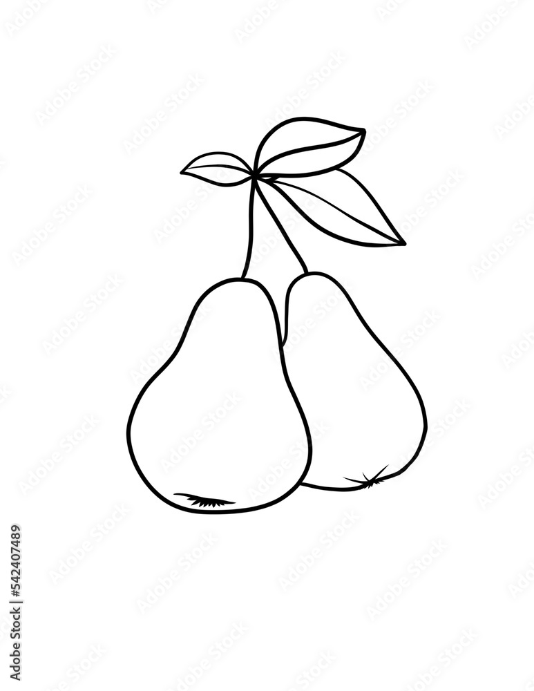 coloring-book-fruit-to-educate-kids-learn-colors-pages-fruits