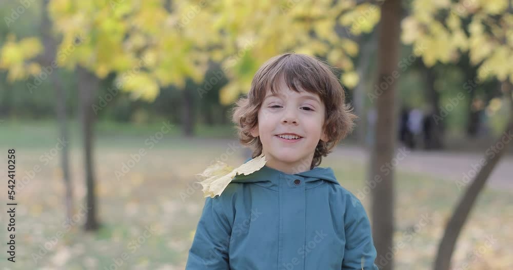 a little boy throws leaves in the autumn in the park, laughs and rejoices a little boy throws leaves in the autumn in the park, laughs and rejoices