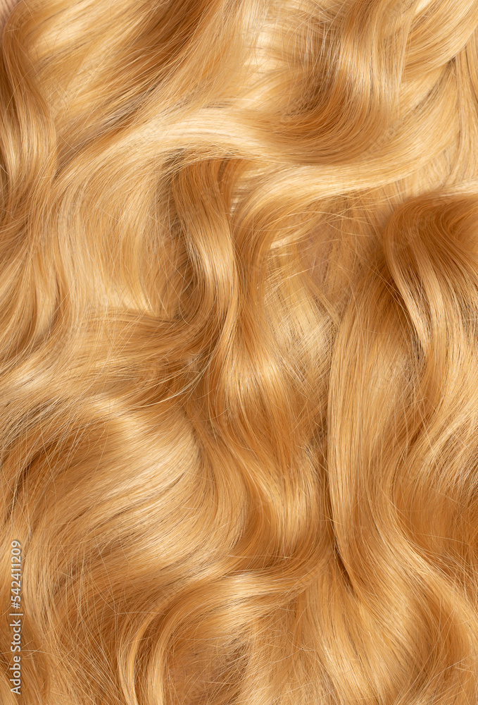 Blond hair close-up as a background. Women's long blonde hair. Beautifully styled wavy shiny curls. Hair coloring. Hairdressing procedures, extension.