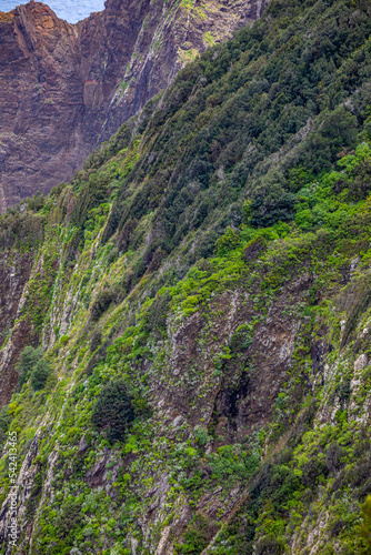 Vereda do Larano hiking trail  Madeira 