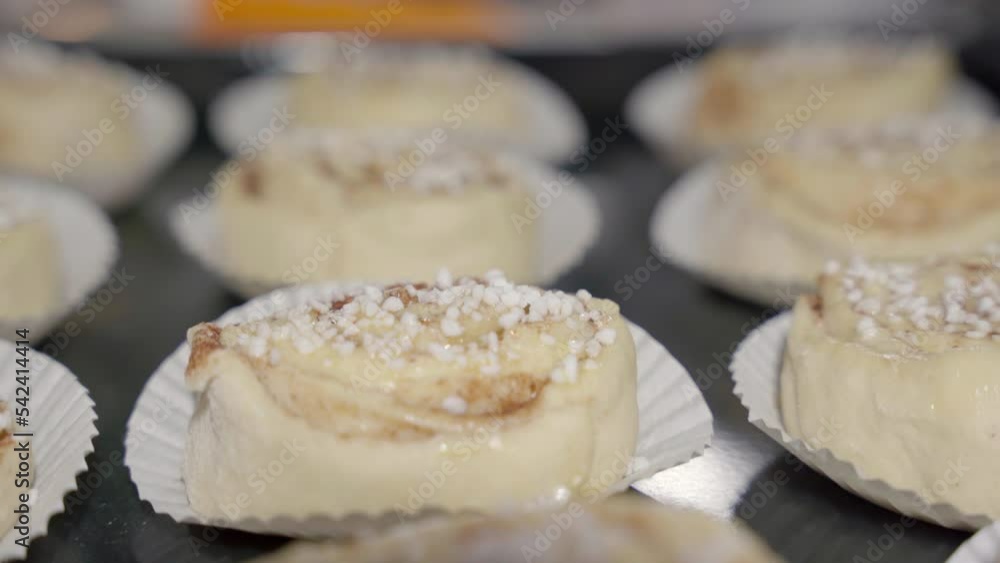 Close up slow slide over a tray with unbaked cinnamon buns Close up slow slide over a tray with unbaked cinnamon buns