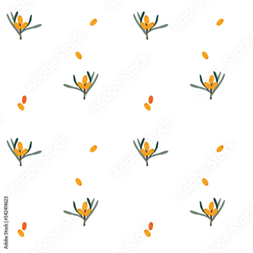 Sea buckthorns orange berries. Seamless pattern. © volkova.alyona.i