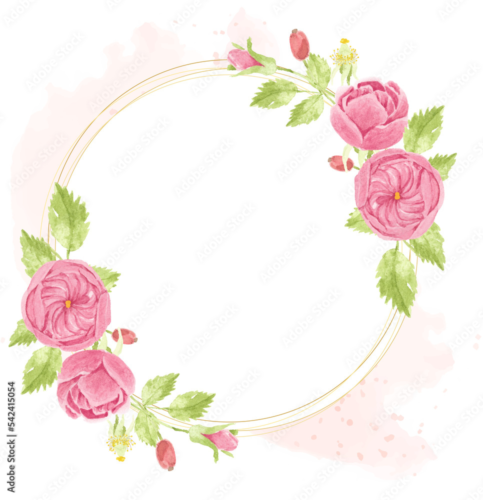 watercolor pink english rose wreath with round golden frame on pink splash