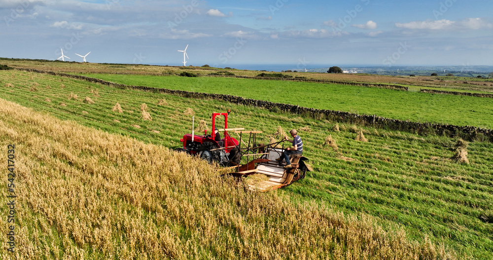 Fototapeta premium Vintage Tractor and Binder Combine Harvester cutting and stacking corn straw on a farm in Northern Ireland