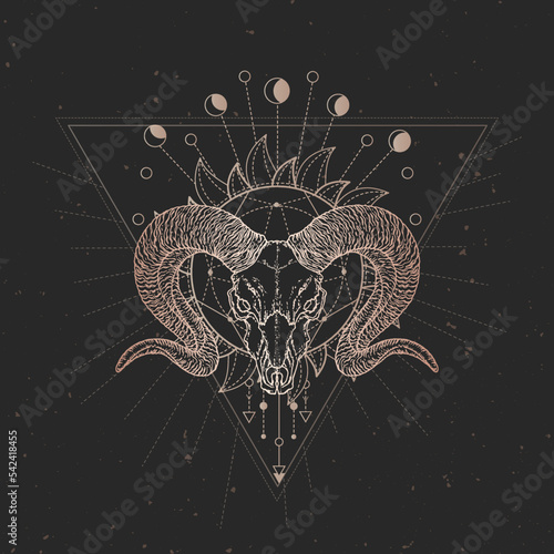 Vector illustration with hand drawn Wild ram skull and Sacred geometric symbol on black vintage background. Abstract mystic sign.