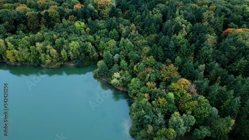 Blue river along the lush green pine forest, drone view, aerial