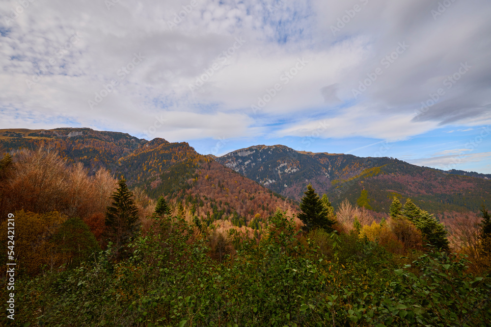 Beautiful mountain autumn landscape in Bucegi Mountains Romania