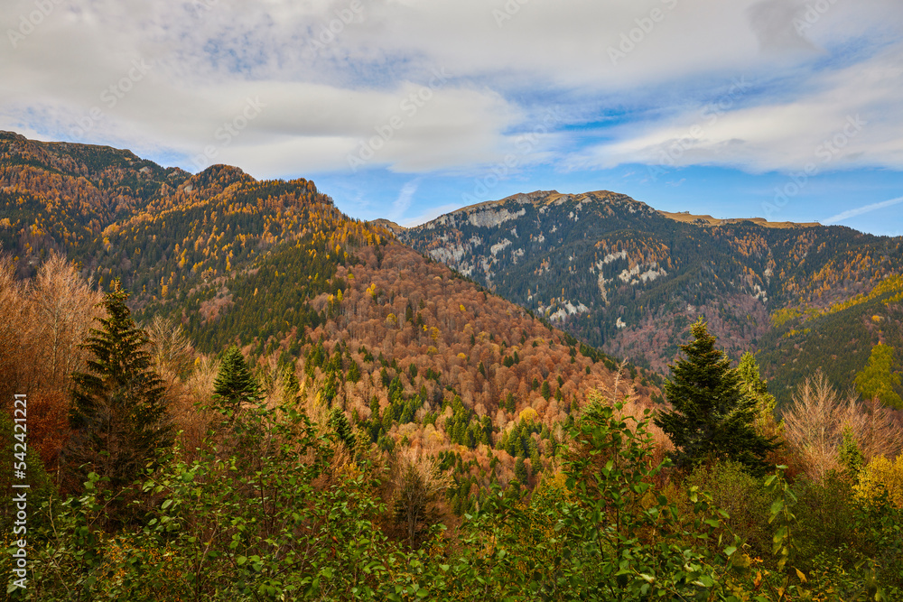 Beautiful mountain autumn landscape in Bucegi Mountains Romania