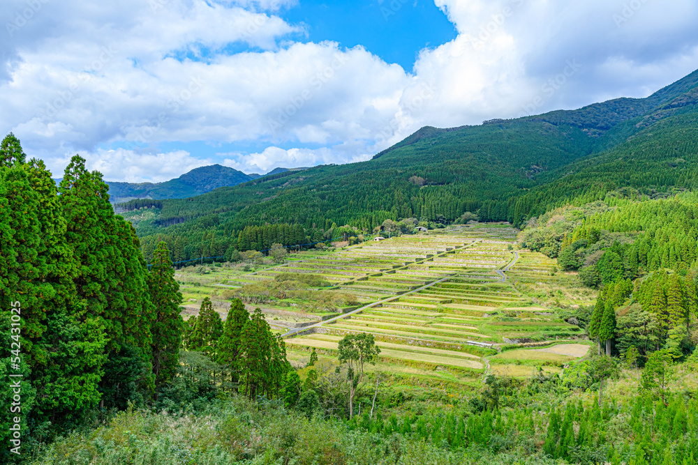 Naklejka premium 秋の坂元棚田 宮崎県日南市 Sakamoto rice terraces in autumn. Miyazaki Prefecture. Nichinan City.