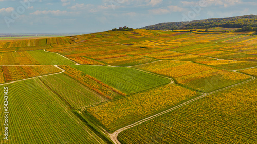 Les vignes de Champagne à l'automne. Photo aérienne.