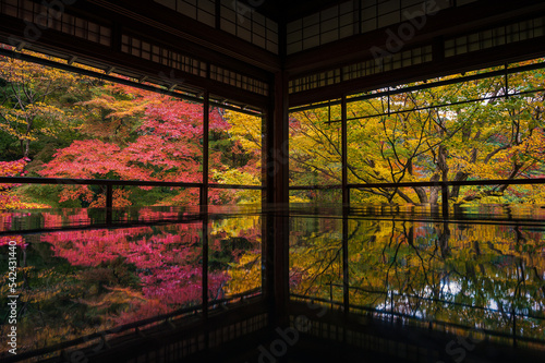 京都の瑠璃光院