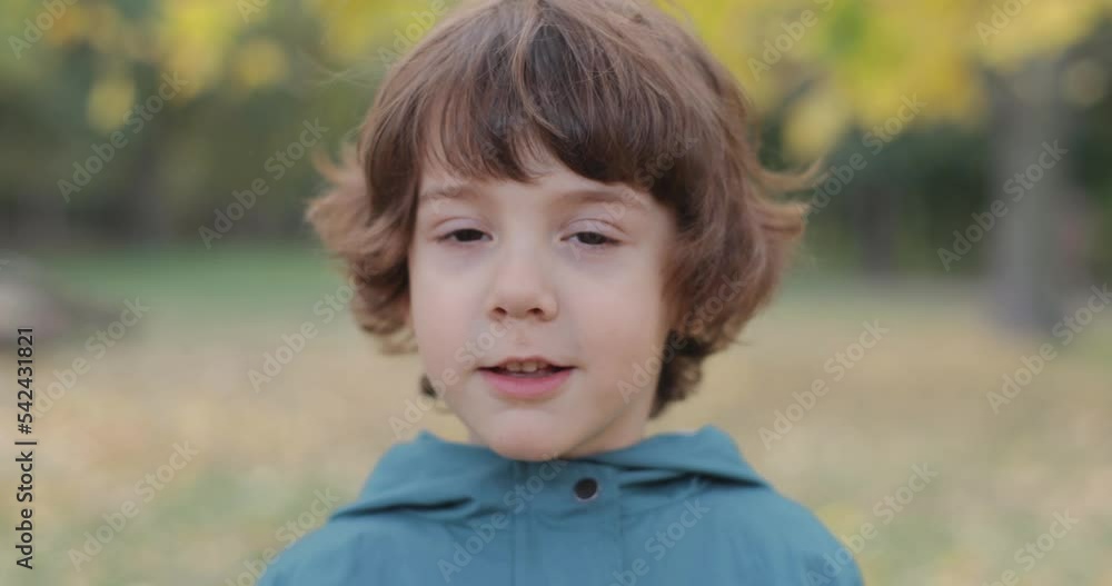Portrait of a cute charismatic boy 5 years old in the autumn park Portrait of a cute charismatic boy 5 years old in the autumn park