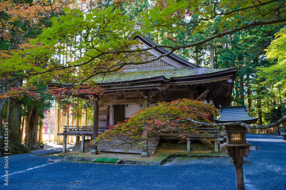 高野山の秋風景