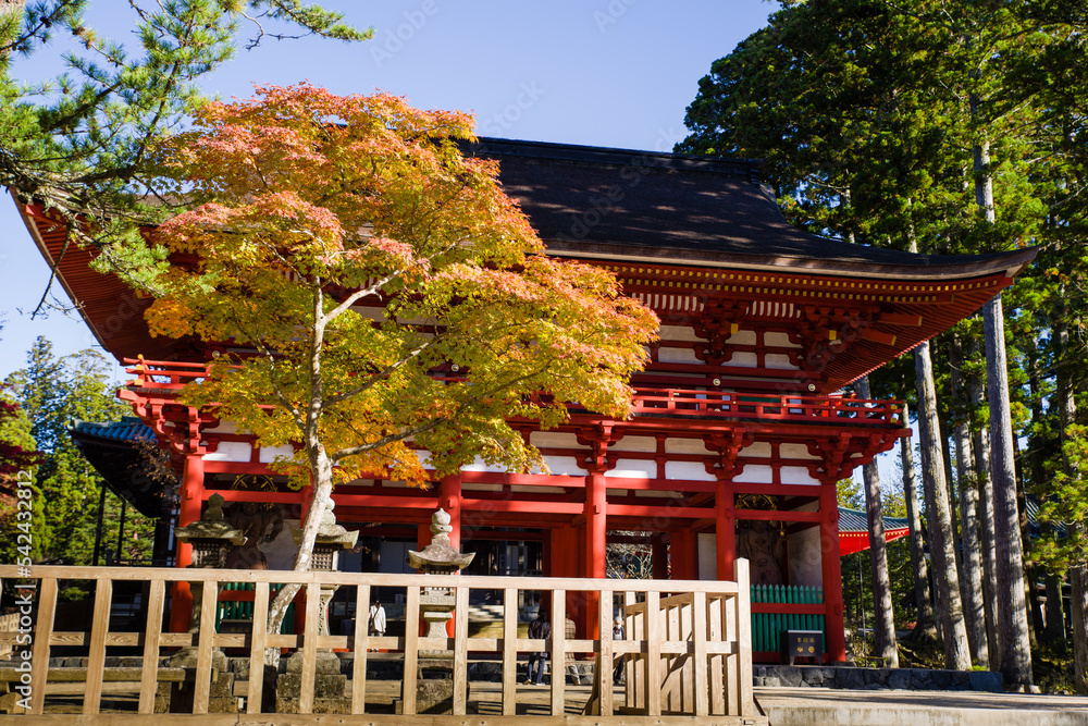 高野山中門の紅葉