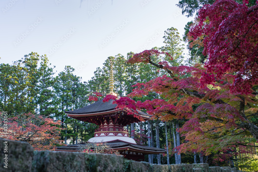 高野山の紅葉
